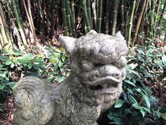 -广州兰圃