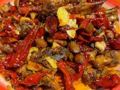 -柴窝堡22号辣子鸡·传承新疆菜