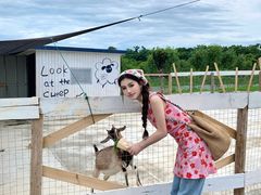 -军山湖云水间生态农业旅游景区