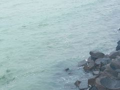 -海堤纪念公园
