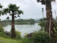 -枫香湖儿童公园