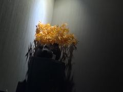 -Dragonfly 悠庭·按摩Spa(苏州中心广场店)