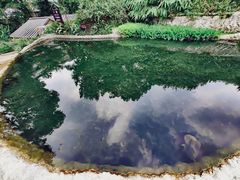 -成都市活水公园