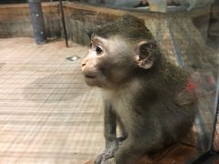 -顺德南宏海立方海洋公园
