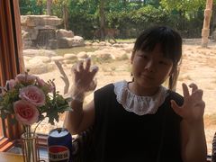 -上海野生动物园老虎餐厅