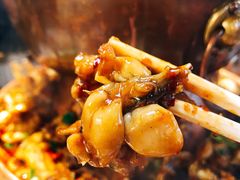 -老佛爷蛙锅•鲜蛙煲(麦凯乐店)