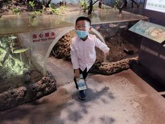 -中国湿地博物馆