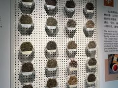 -中国茶叶博物馆(双峰馆区)