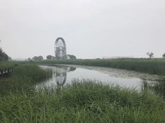 -太湖湖滨国家湿地公园-停车场