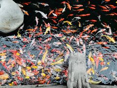 -西林禅寺