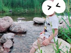 -白河湾生态旅游一条川