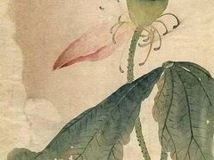 -六出私塾LiuChu•成人美术书法系统课程专业画室(熊婆婆的花园店)