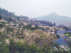 -樱桃山旅游景区
