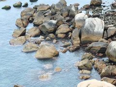 -汕尾风车岛