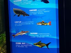 -广州海洋馆