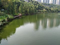 -重庆彩云湖湿地公园