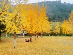 -长兴八都岕景区