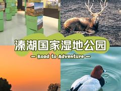 -溱湖国家湿地公园