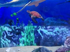 -广东中医药博物馆