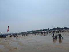 -日照海滨国家森林公园