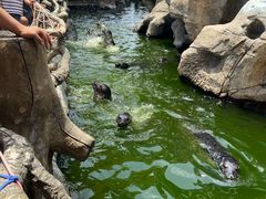 -华夏文旅海洋公园