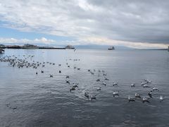 -青海湖二郎剑景区