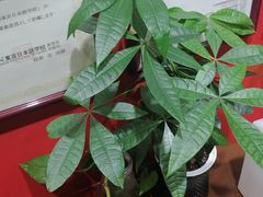 -学习谷日语培训日本留学·多语种外语教学(海淀人大分部)