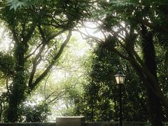 -紫金山天文台