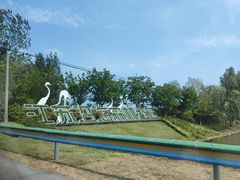 -盐城丹顶鹤湿地生态旅游区