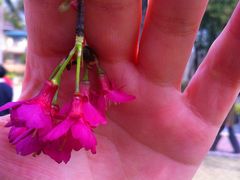 -广东外语外贸大学(白云山校区)