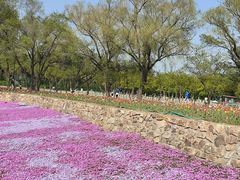 -北陵公园