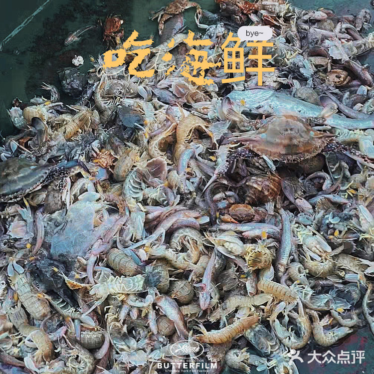 湉湉“秋日”出海 | 塘沽出海打鱼的绝佳地点