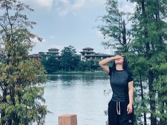 -美的鹭湖森林度假区