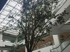 -苏州图书馆(人民路总馆)