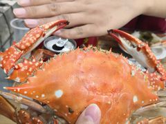 -海帮主·蒸汽海鲜青岛菜(栈桥火车站店)