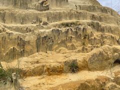 -彩色沙林风景区