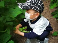 -万源龙顺度假庄园生态观光园