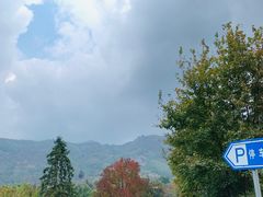 -塔川景区