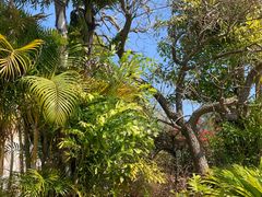 -惠州金海湾嘉华度假酒店