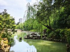 -红梅公园