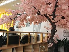 -汤里来温泉