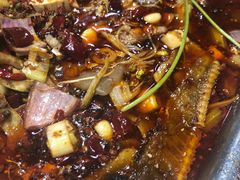 -重庆火锅水库鱼庄(南油店)