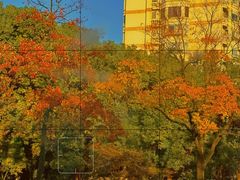 -北山街历史文化街区