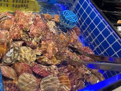 -锅儿欢海鲜火锅烤肉自助餐(东港凯虹店)