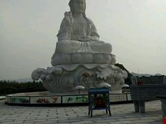 -东方巨龟苑景区