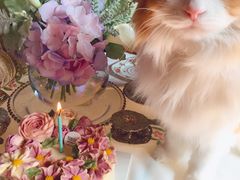 -BON CAKE(华贸购物中心店)
