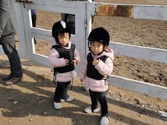 -月河湾马术俱乐部(朝阳店)