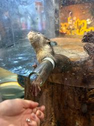 -Zoolung Zoolung动物主题公园(海信广场店)