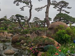 -罗红摄影艺术馆