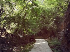 -北京上方山国家森林公园